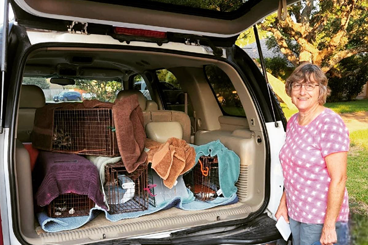 Party of 8 off to the Austin humane society last week in our trusty cat mobile.